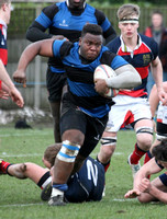DC 1st Rugby v KCW (DM Cup)